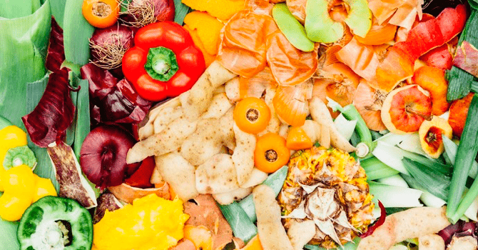 Como aproveitar todo o alimento, economizar e se alimentar bem