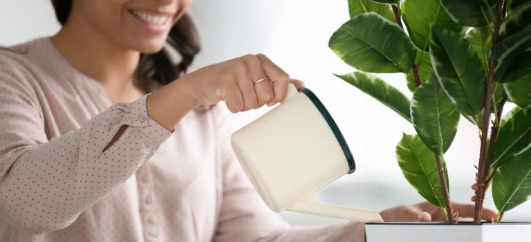 Diário das mães de plantas: como combater pragas?