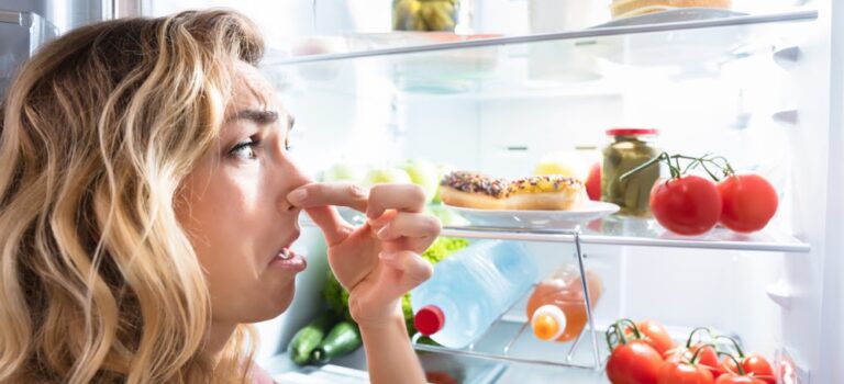 Mau cheiro? Nunca mais! Veja dicas para eliminar o mau odor da geladeira